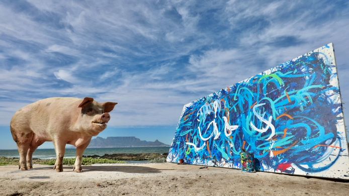 Pigcasso, un artiste qui a du chien