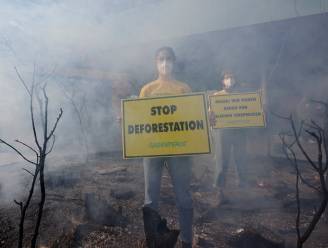 Ontbossing in Amazonewoud breekt record voor maand april