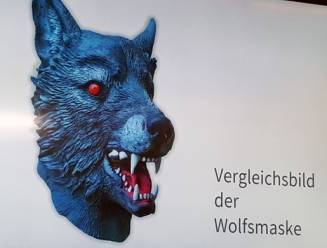 Duitser bekent dat hij met wolfmasker op meisje (11) in bosjes sleurde en verkrachtte