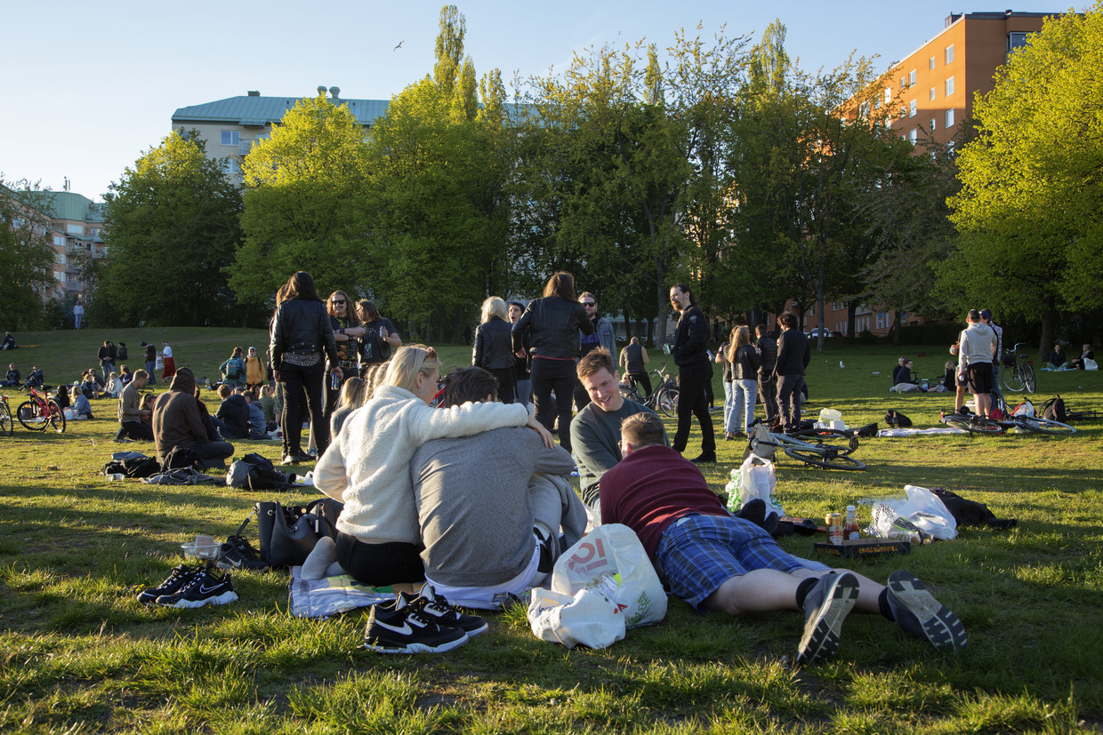 In een park in Stockholm komen mensen (dicht) bij elkaar. Beeld Getty