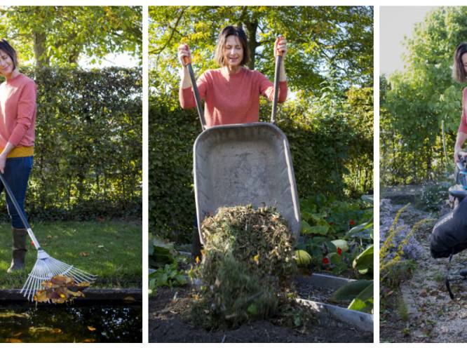 Tuinexperte toont je de beste manier om herfstbladeren te recycleren: “Gebruik ze als plantendekentje of maak er bladaarde van”
