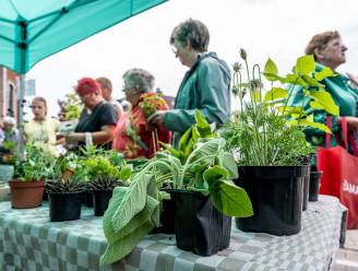 Tuinhier en Ferm slaan handen in elkaar voor ruil- en weggeefmarkt van plantjes 