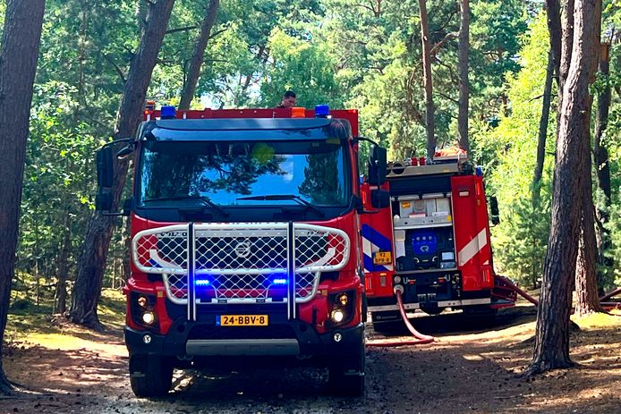 HEERLEN - Maandagmiddag 18 juli rond 14.25 uur is natuurbranden ontstaan op de Brunssummerheide aan de Kamperheideweg in Heerlen. Bij de natuurbranden is veel rook vrijgekomen. De brandweer is met meerdere voertuigen in het natuurgebied aanwezig om de brand te bestrijden.