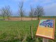 Het bord waarop wordt toegelicht dat de kamsalamander de ruimte krijgt op het grasland langs de Maas bij Oeffelt.