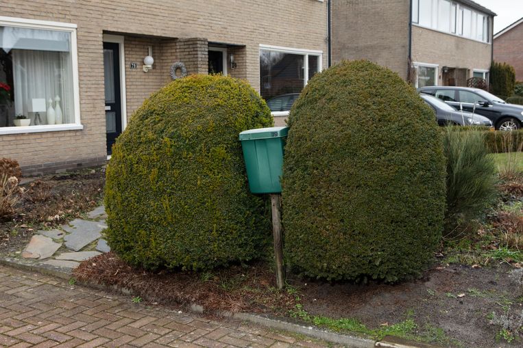 Borger Beeld Jan Dirk van der Burg