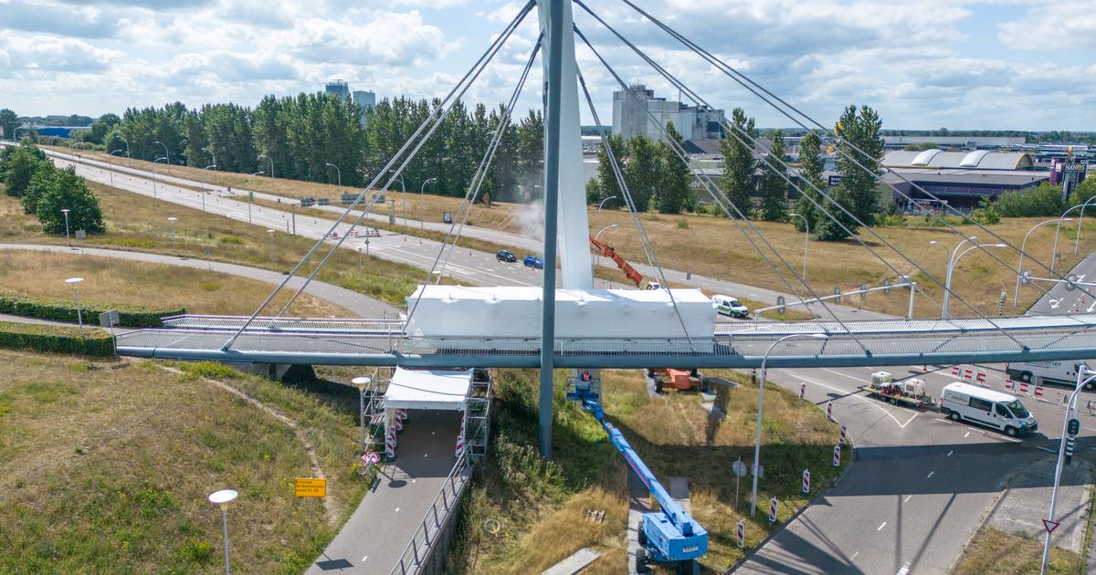 Fietsbrug tussen Stadshagen en Westenholte krijgt wekenlange onderhoudsbeurt | Zwolle