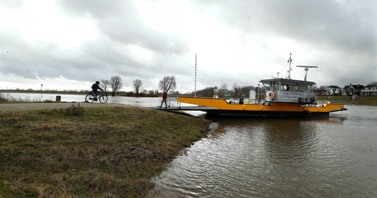 Veerpont tussen Olburgen en Dieren gaat weer in de vaart: 'Water is weer aan het zakken' - De Stento