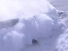 Pris au piège par d'énormes vagues, un surfeur évite le pire: “Peu auraient survécu”