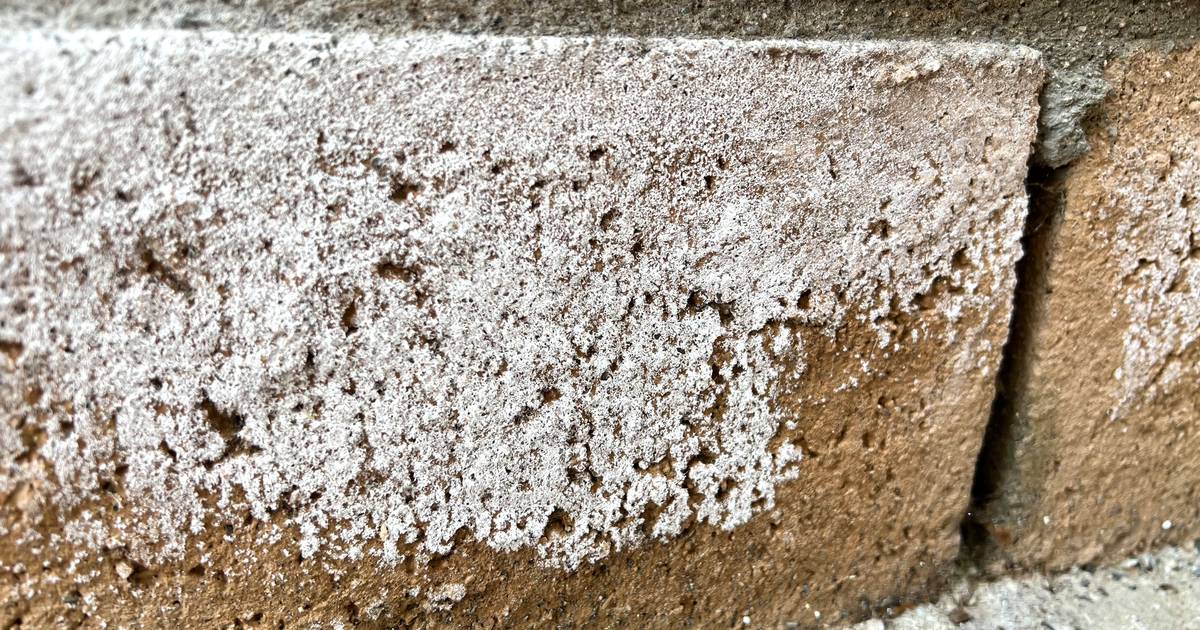 Uitbloeiingen op je metselwerk zo voorkom én bestrijd je lelijke witte vlekken op je gevel