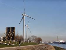 Windturbines in het Oeverbos gaan door ondanks bezwaar: ‘Horeca niet onaanvaardbaar bedreigd’
