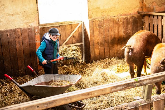 Willem Wolput verovert nu al alle harten als grapjas in 'Out of Office