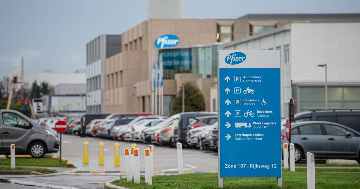 Pfizer incrementa le esportazioni belghe con miliardi