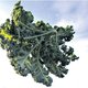 Landbouw is meer dan techniek, ook groene waarden en smaak tellen