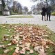 Brusselse parken gaan toch dicht door stormweer