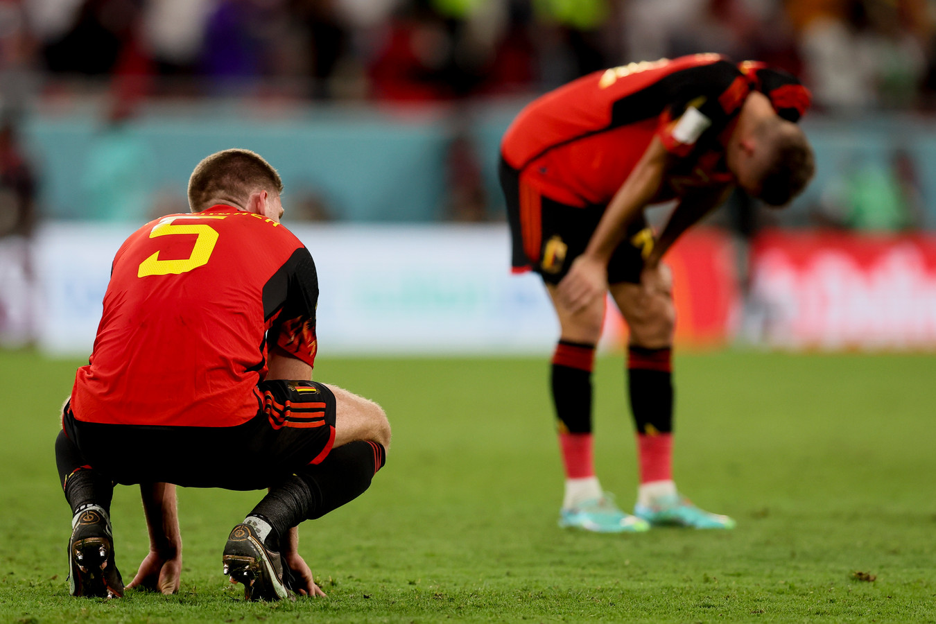 BELGA PHOTO BRUNO FAHY