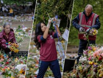 IN BEELD. Na het eerbetoon, nu de opkuis: vrijwilligers halen bloemen voor de Queen weg uit Londense parken