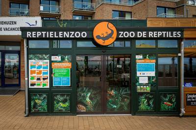 Het doek valt over het Serpentarium in Blankenberge: “We zoeken een nieuwe thuis voor meer dan 200 reptielen”
