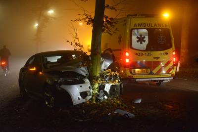 Automobilist raakt van de weg in Breda en komt tot stilstand tegen boom