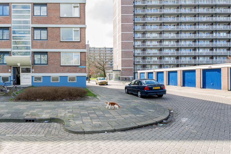 Heechterp-Schieringen in Leeuwarden is een van de Vogelaarwijken. Beeld Sjaak Verboom
