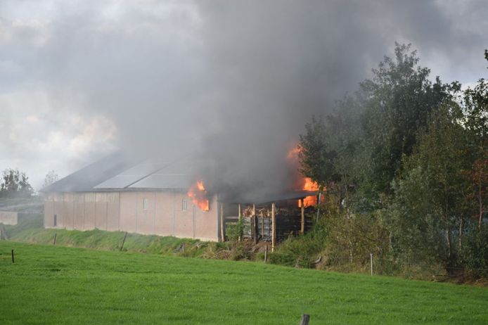 Brand in kaasboerderij in Blesdijke.
