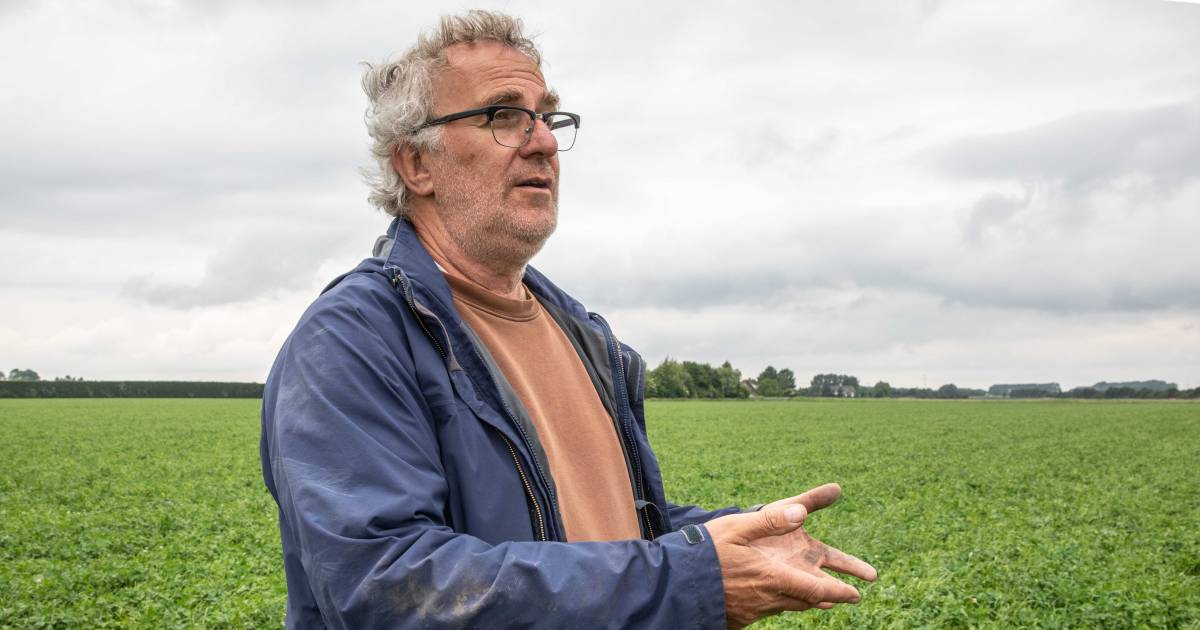 TenneT hield zich niet aan afspraken op land van biologische boer, maar gevolgen heeft dat niet - Pr