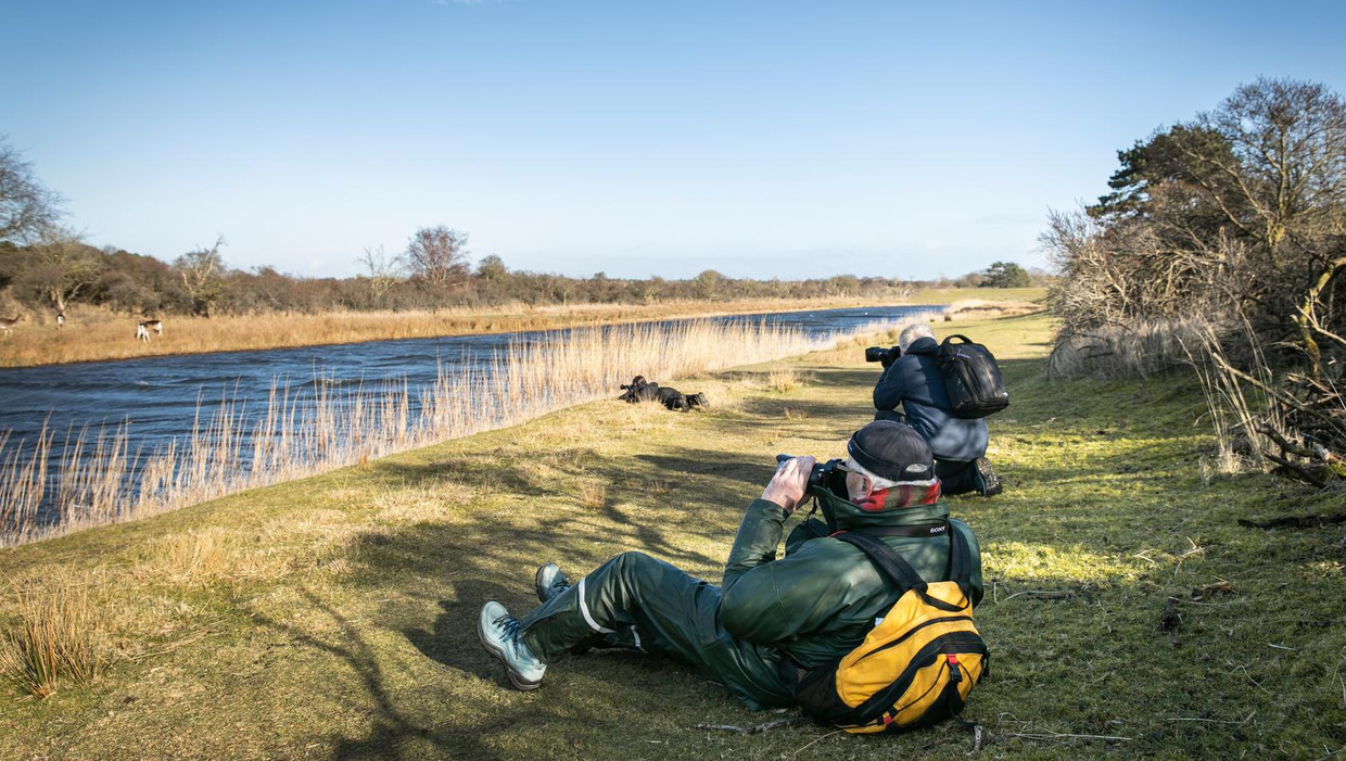 Cursisten Guy Sponton, Jacob Wijs en Marleen Krijtenberg (liggend), hopend op een wilde vos voor hun lens. Beeld Dingena Mol