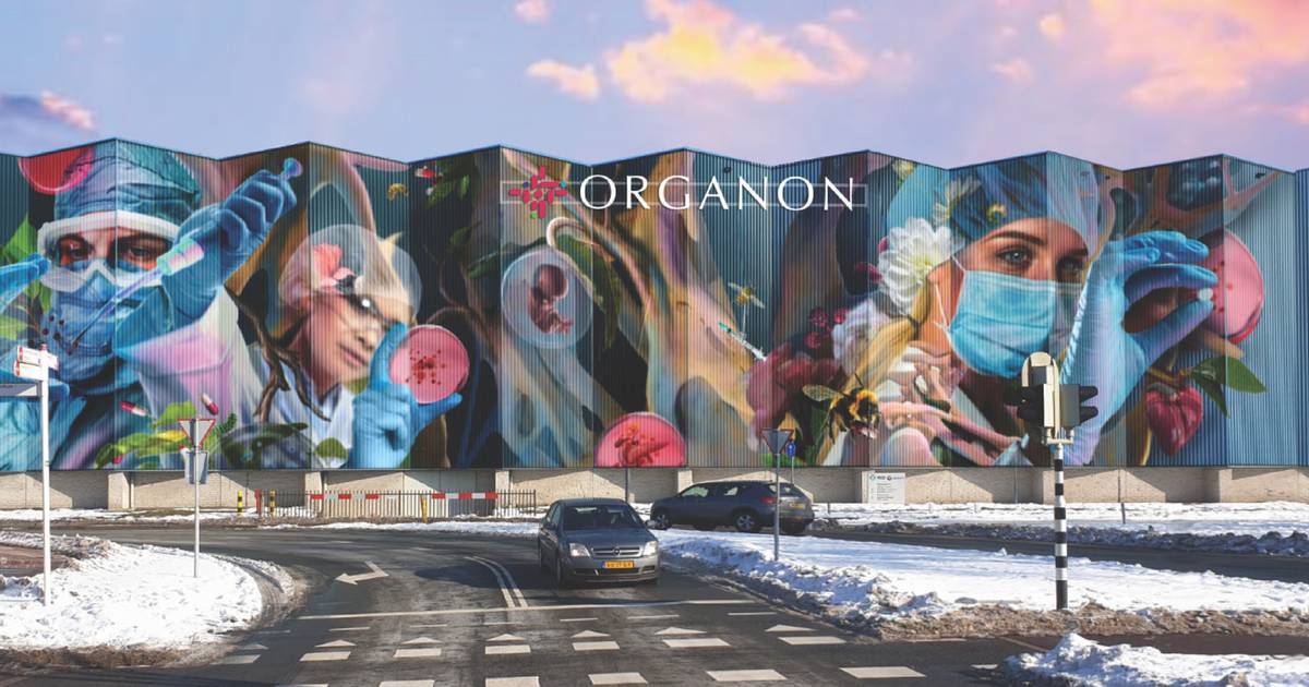 Organon vervangt omstreden logo op muurschildering