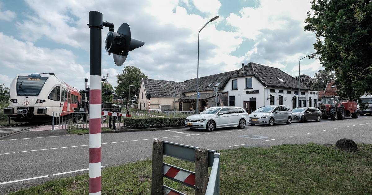 Café P8 in Terborg was net open, maar deuren gaan op slot na handgemeen van eigenaar met boa's - De 
