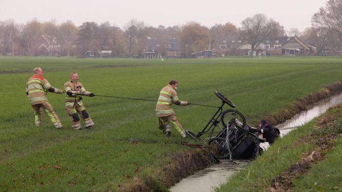 Paard en wagen belanden in de sloot: koetsier komt met de schrik vrij