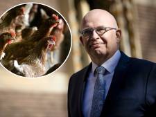 Minister: ‘Moeten er goed over nadenken of we zoveel pluimvee bovenop elkaar nog wel willen in Nederland’