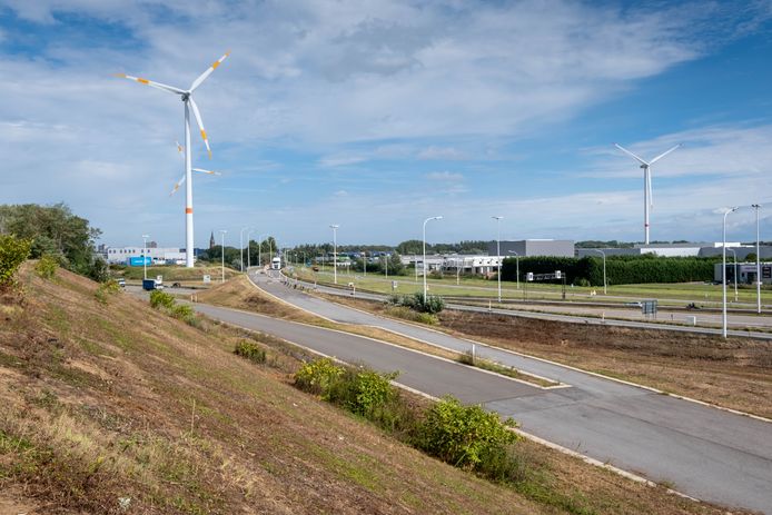 Het oude gipsstort ligt langs de A12 in Ruisbroek
