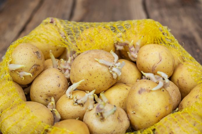 Bewaar Je Aardappelen Best In De Voorraadkast Of De Koelkast? | Eten |  Hln.Be