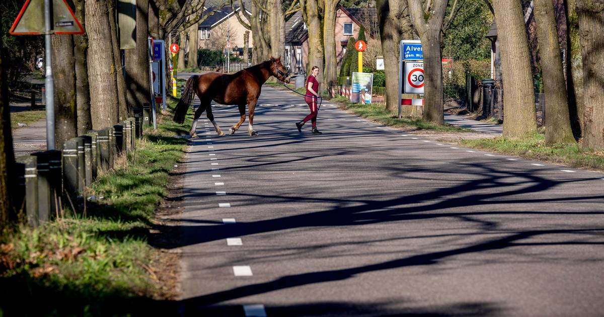Dit is Alverna, een karaktervol dorpje met Italiaanse wortels dat massatoerisme vreest