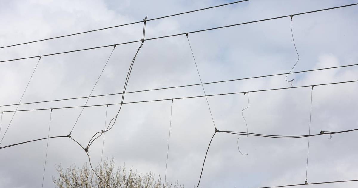 Crane truck breaks down catenary in Vught, no train traffic to Den Bosch until 5 a.m. Friday |  112