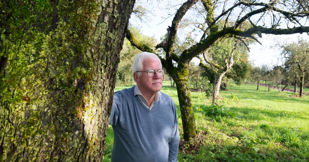 Bram (76) spreekt graag klare taal en dat werkt: naar het kleine Tull en ’t Waal wordt nu eindelijk 