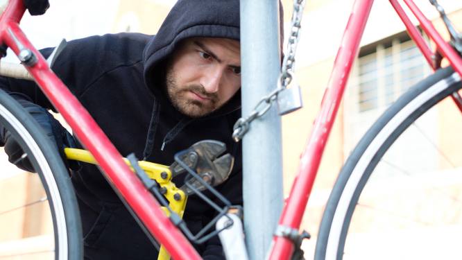 Fietsendief herkend en opgepakt door politie in Zutphen
