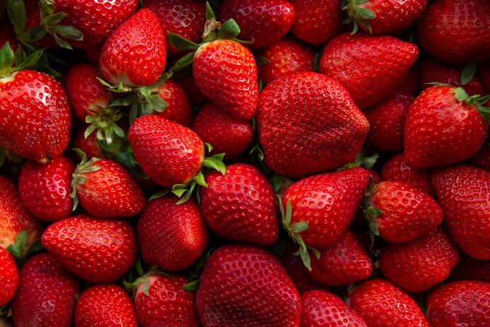 Verse aardbeien smaken het best als je ze bewaart in de koelkast en je ze een uurtje voor je ze opeet er weer uithaalt.