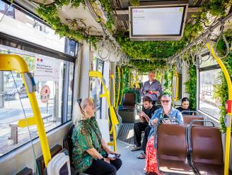 Tram 1 éénmalig gekleed in kleurrijke bloemen en hangplanten: “Om groen in het district te promoten”