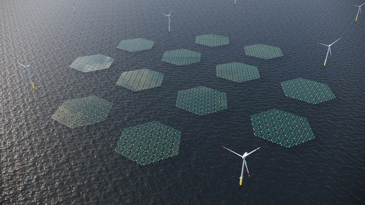 Een impressie van het plan dat SolarDuck ontwikkelt voor drijvende zonnepanelen op zee. Door de panelen te plaatsen naast een windmolenpark kan zonnestroom via dezelfde kabel naar land worden getransporteerd. 