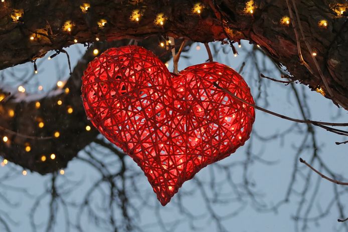 De EUR gaat wetenschappelijk onderzoek doen naar de liefde