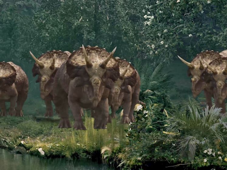 Une coopération sociale inédite: des fouilles révèlent une découverte révolutionnaire sur le Tricératops
