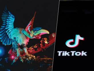 TikTokker deelt ‘truc’ om licht aan te krijgen in Efteling-attractie Vogel Rok en filmt: ‘Mijn telefoon vliegt weg!’