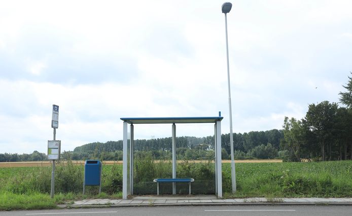 De bushalte in Turkeye.