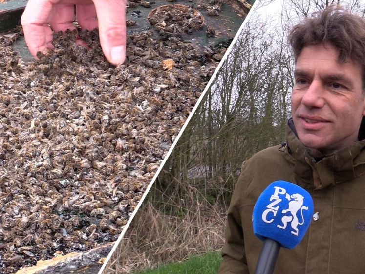 Mysterieuze bijensterfte zet imkers voor een raadsel