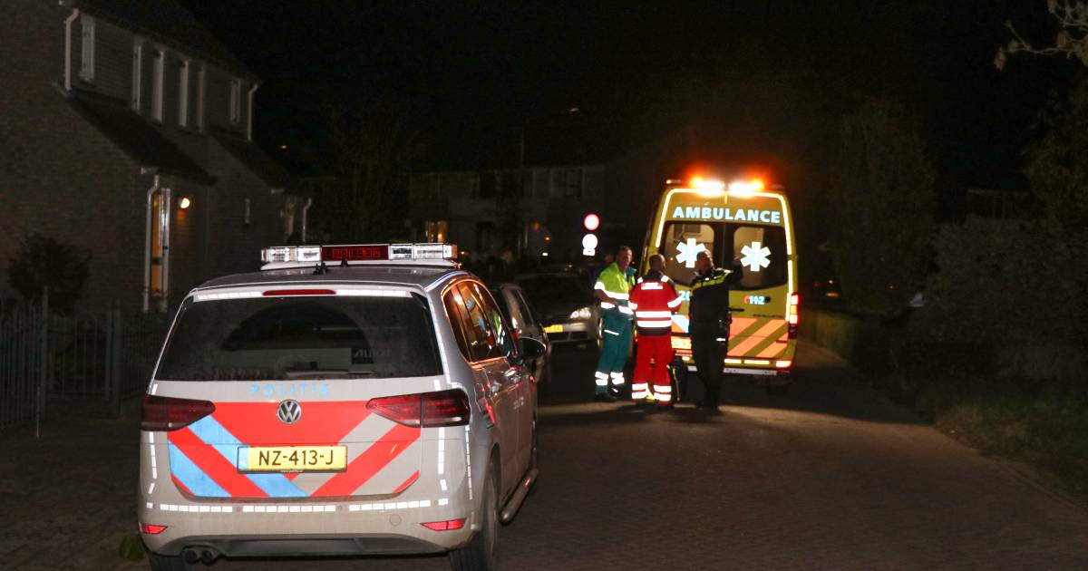 Hond kreeg spuitje na bijtincident in Rijswijk Rivierenland AD.nl