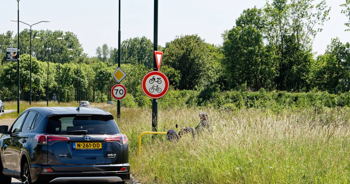 Hoog bermgras Schijndel met spoed gemaaid na meerdere ongelukken.