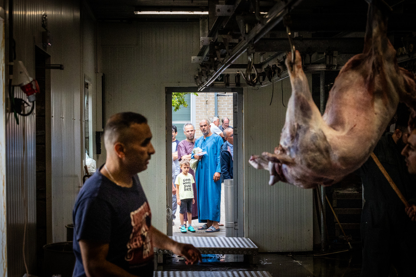 REPORTAGE. Eén van de enige erkende slachtplaatsen voor het Offerfeest