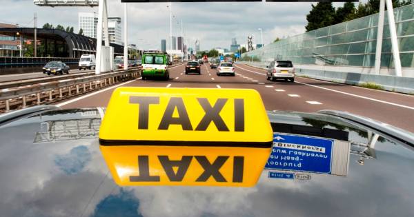 Ontsnapt hondje voor 400 euro met taxi naar bruiloft van z'n baasje