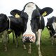 Offer onze boeren niet op het altaar van het Groene geloof