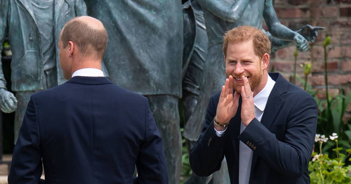 ‘Il principe William sarebbe la peggiore biografia di Harry’ |  Proprietà